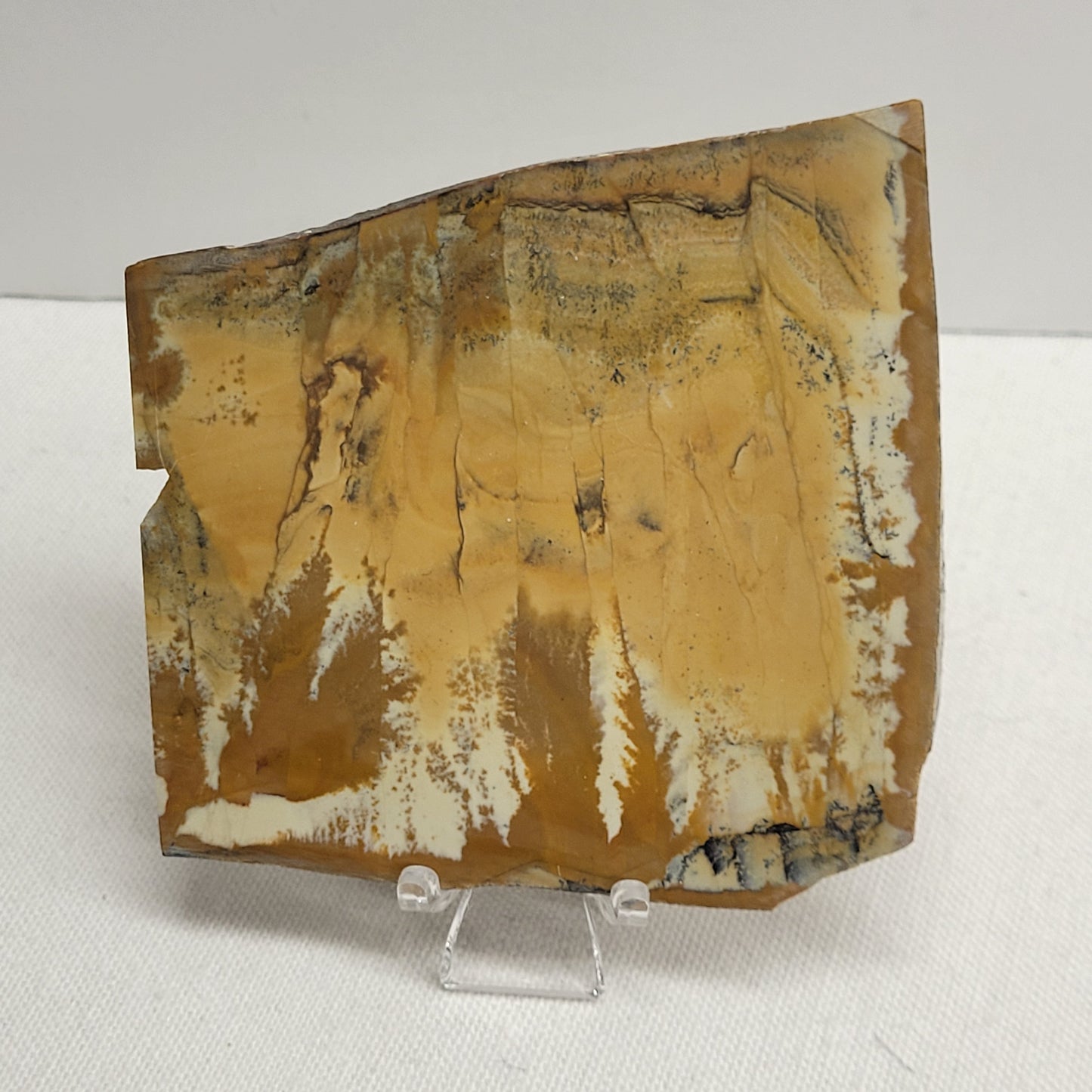 Slab - Owyhee Jasper