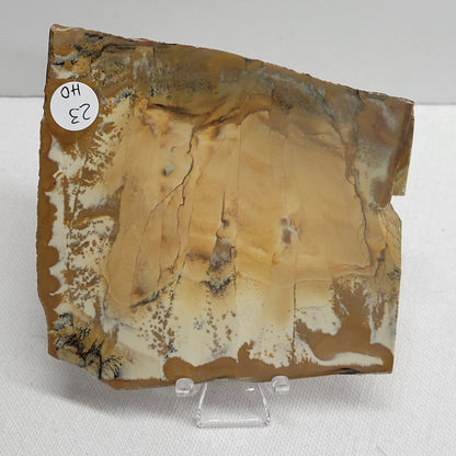 Slab - Owyhee Jasper