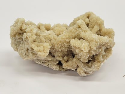 Trona Pseudo after Halite