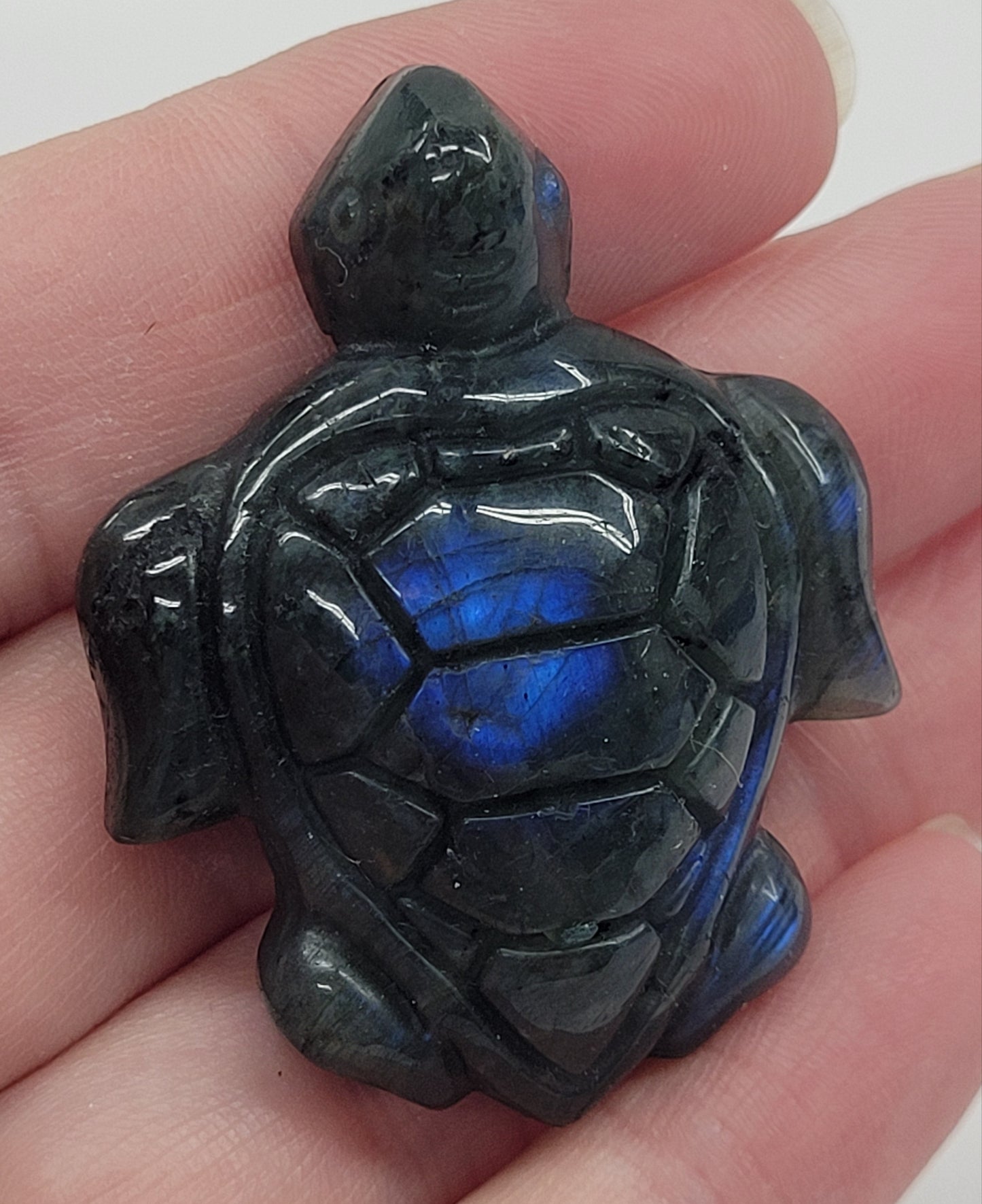 Turtle - Labradorite (medium)