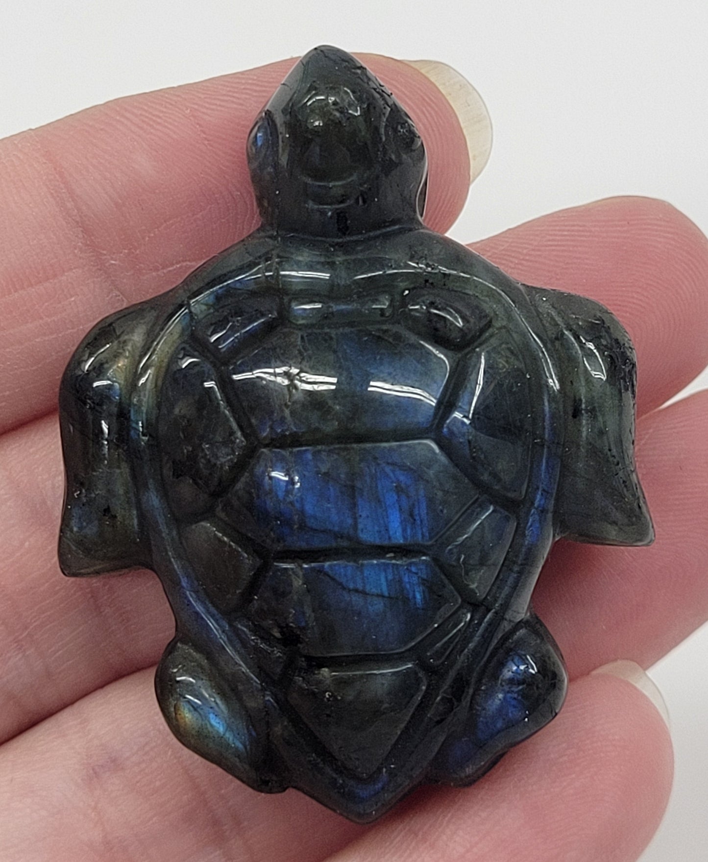 Turtle - Labradorite (medium)