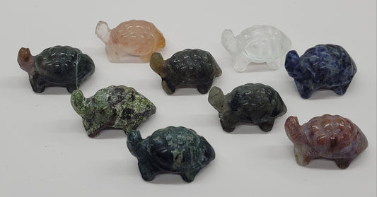 Tortoise (turtle) - various material (Small)