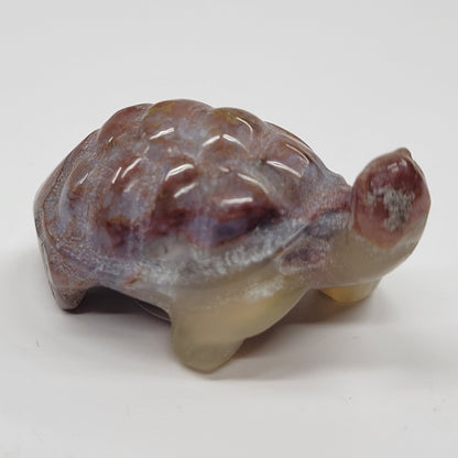 Tortoise (turtle) - various material (Small)