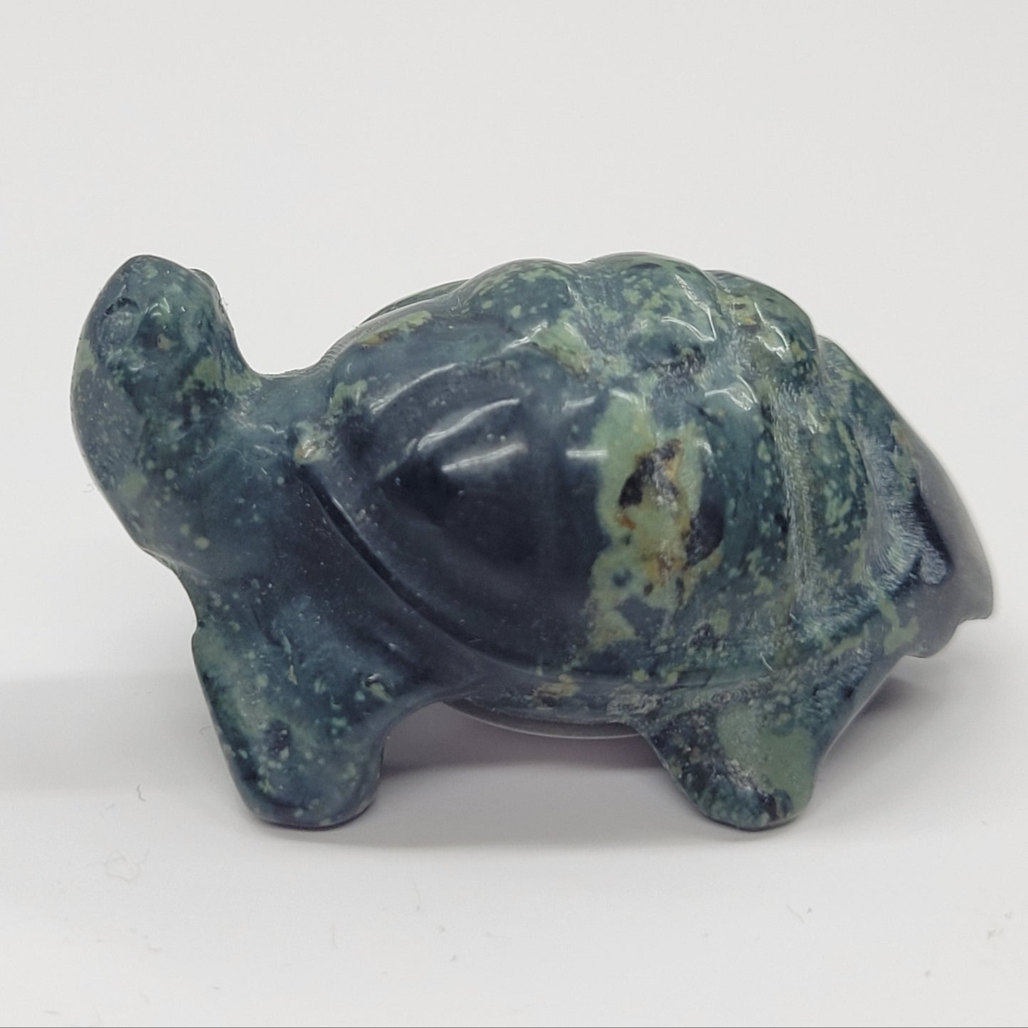 Tortoise (turtle) - various material (Small)