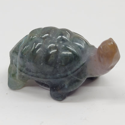 Tortoise (turtle) - various material (Small)