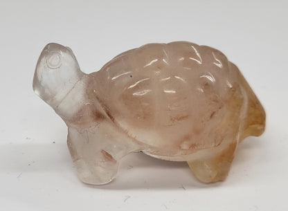 Tortoise (turtle) - various material (Small)