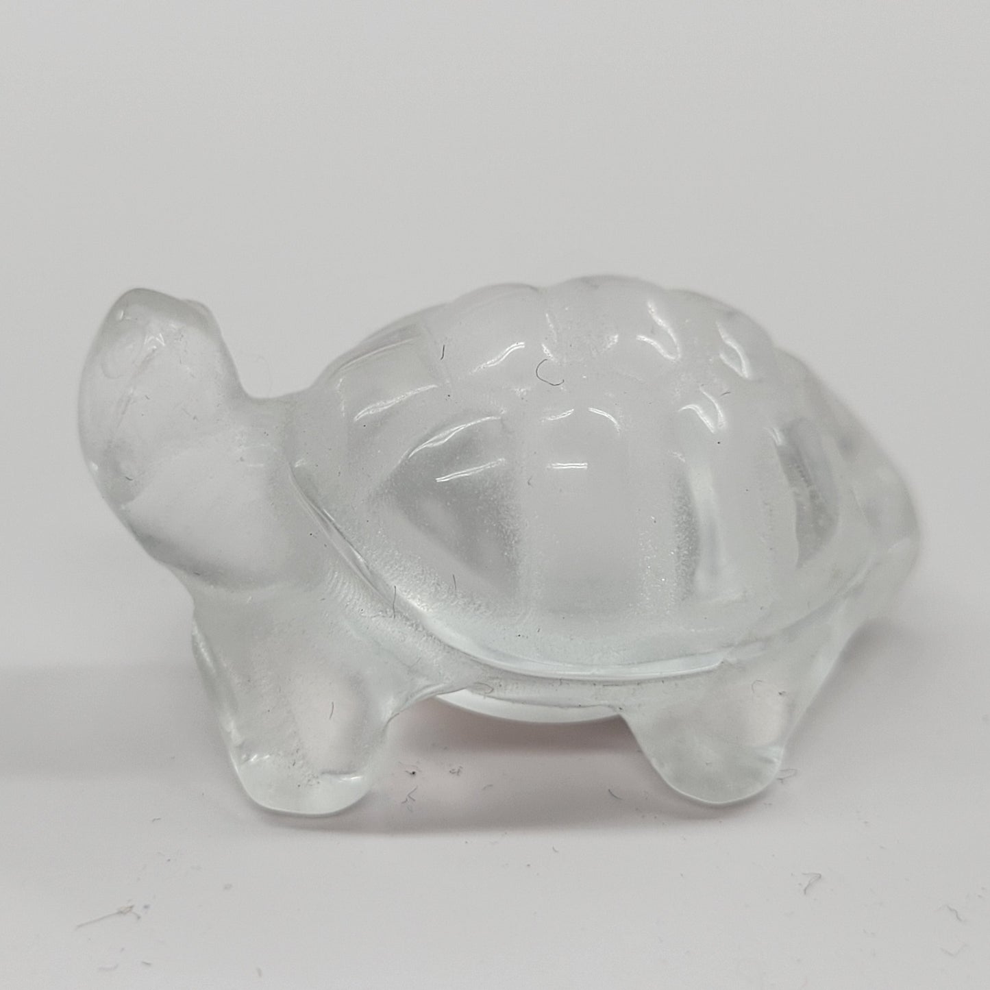 Tortoise (turtle) - various material (Small)