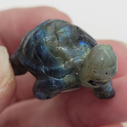 Tortoise (turtle) - various material (Small)