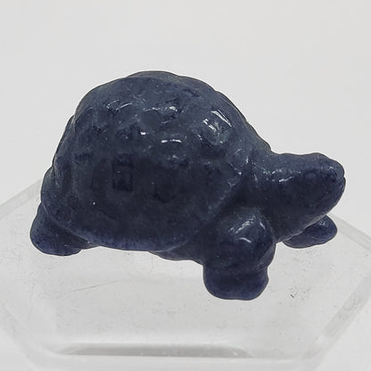 Tortoise (turtle) - various material (Small)