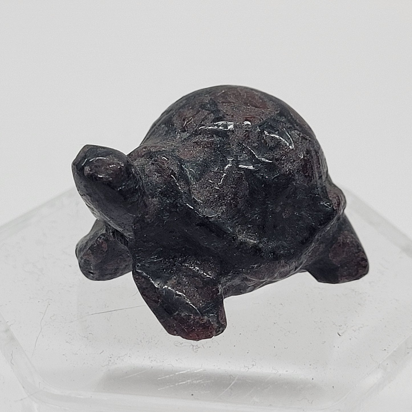 Tortoise (turtle) - various material (Small)