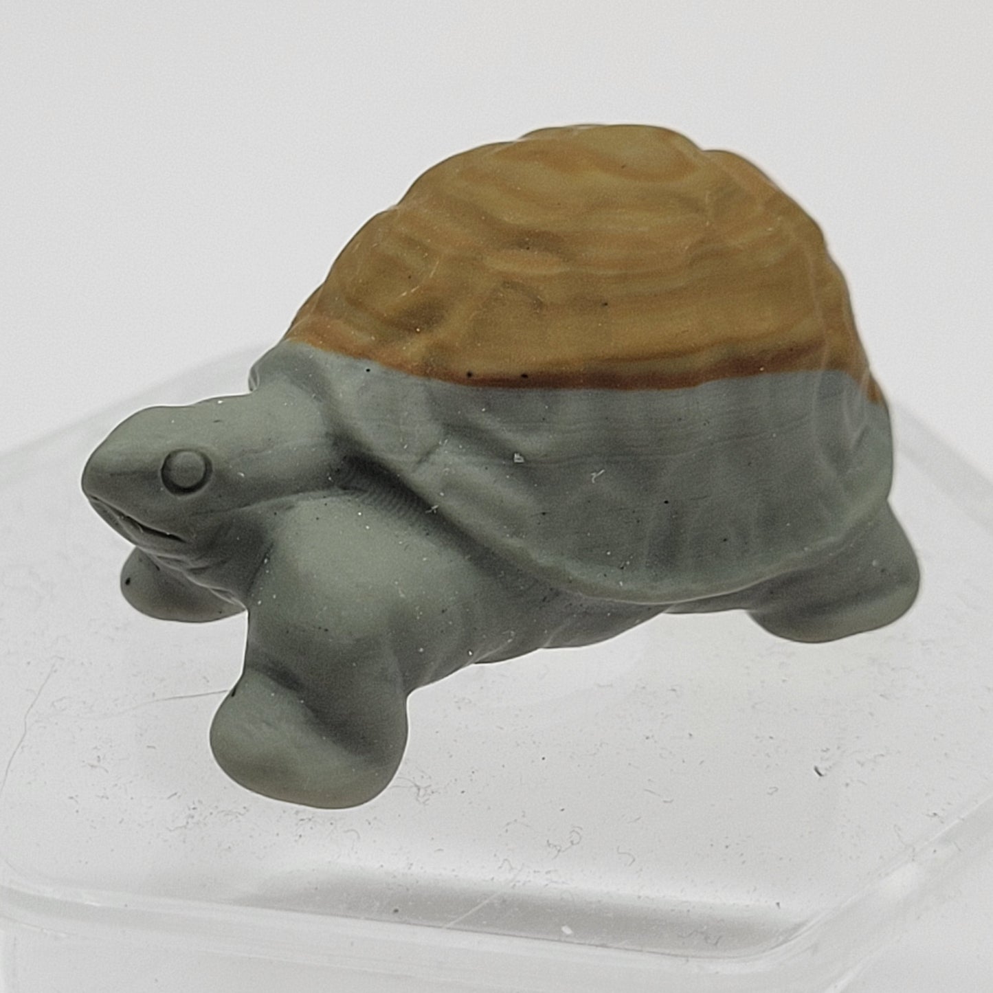 Tortoise (turtle) - various material (Small)