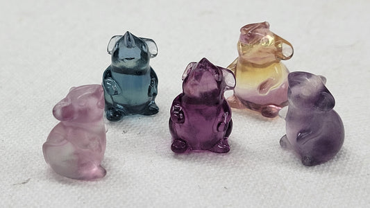 Fluorite mini - Mouse/Mice
