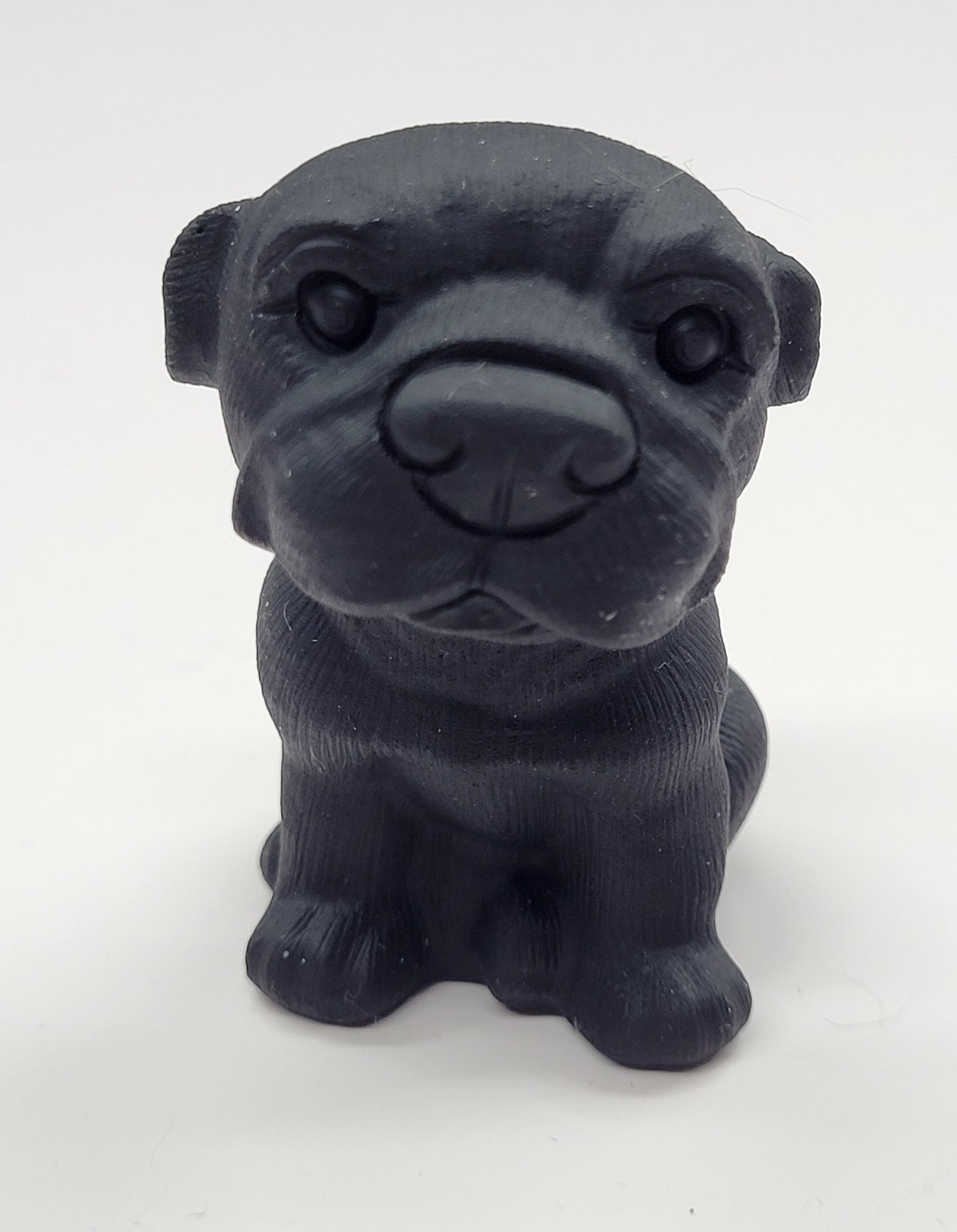Dog - Labrador (medium)