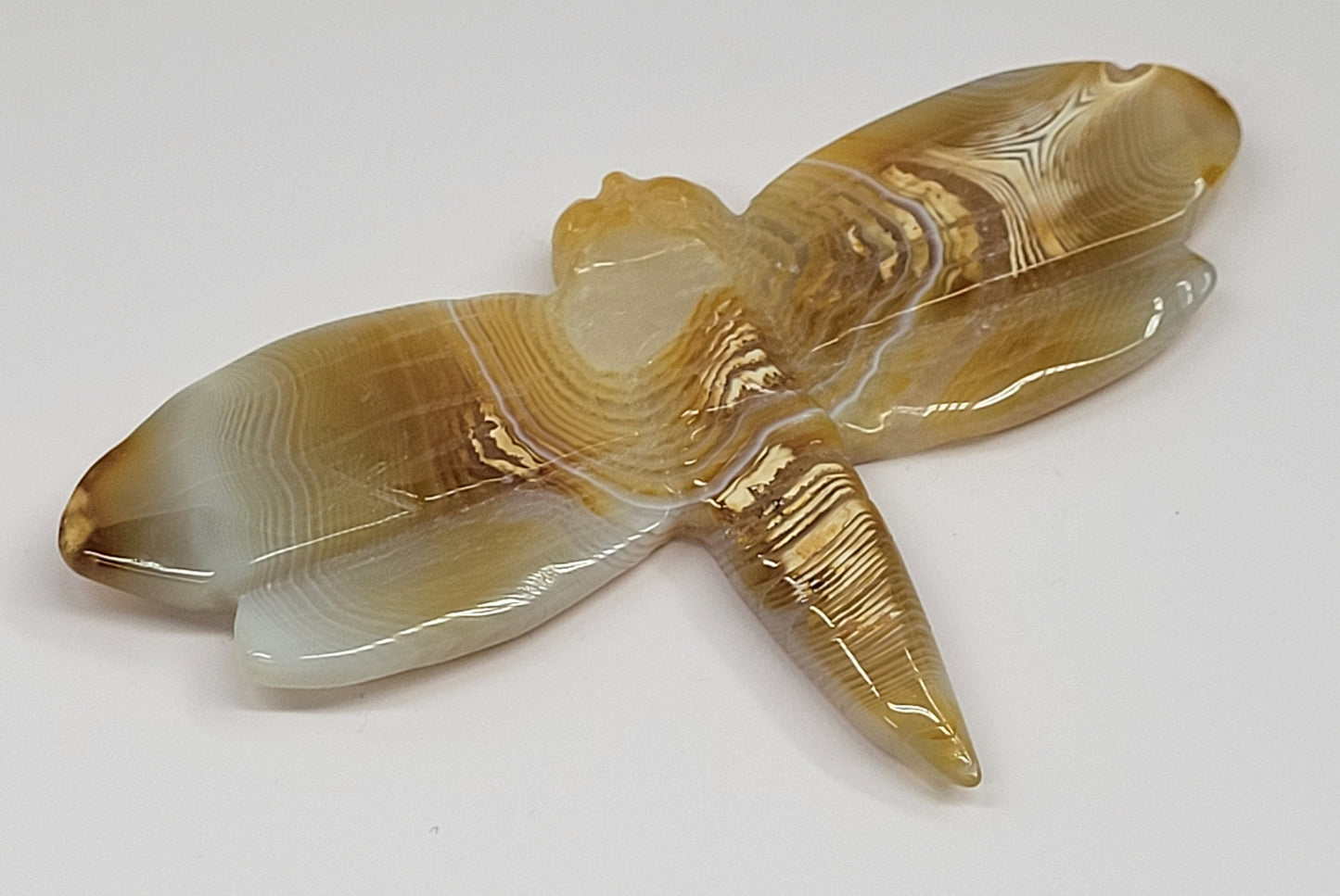 Dragonfly carvings (M)