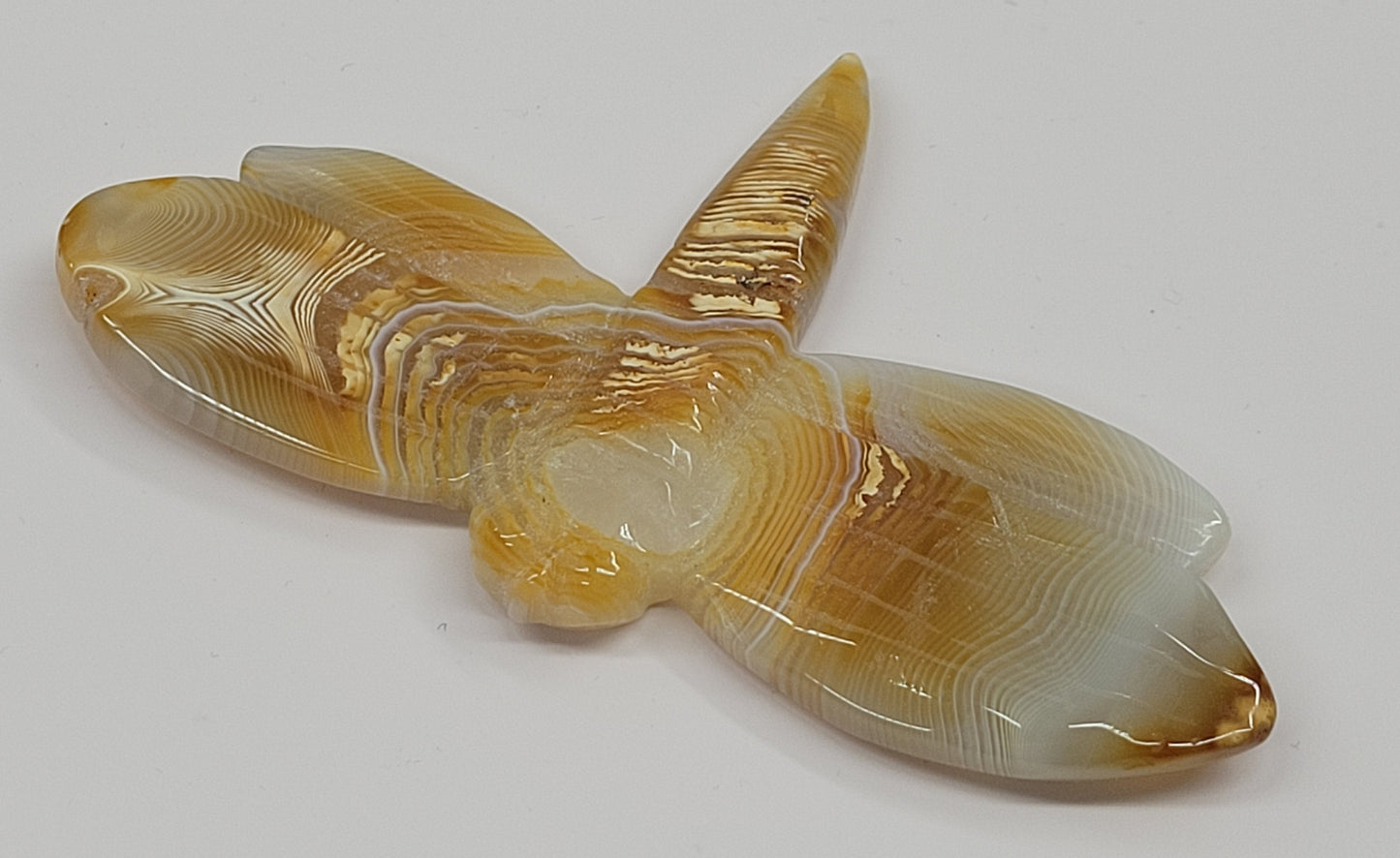 Dragonfly carvings (M)