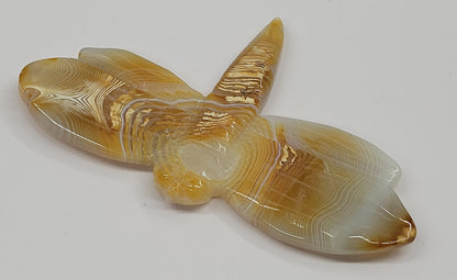 Dragonfly carvings (M)