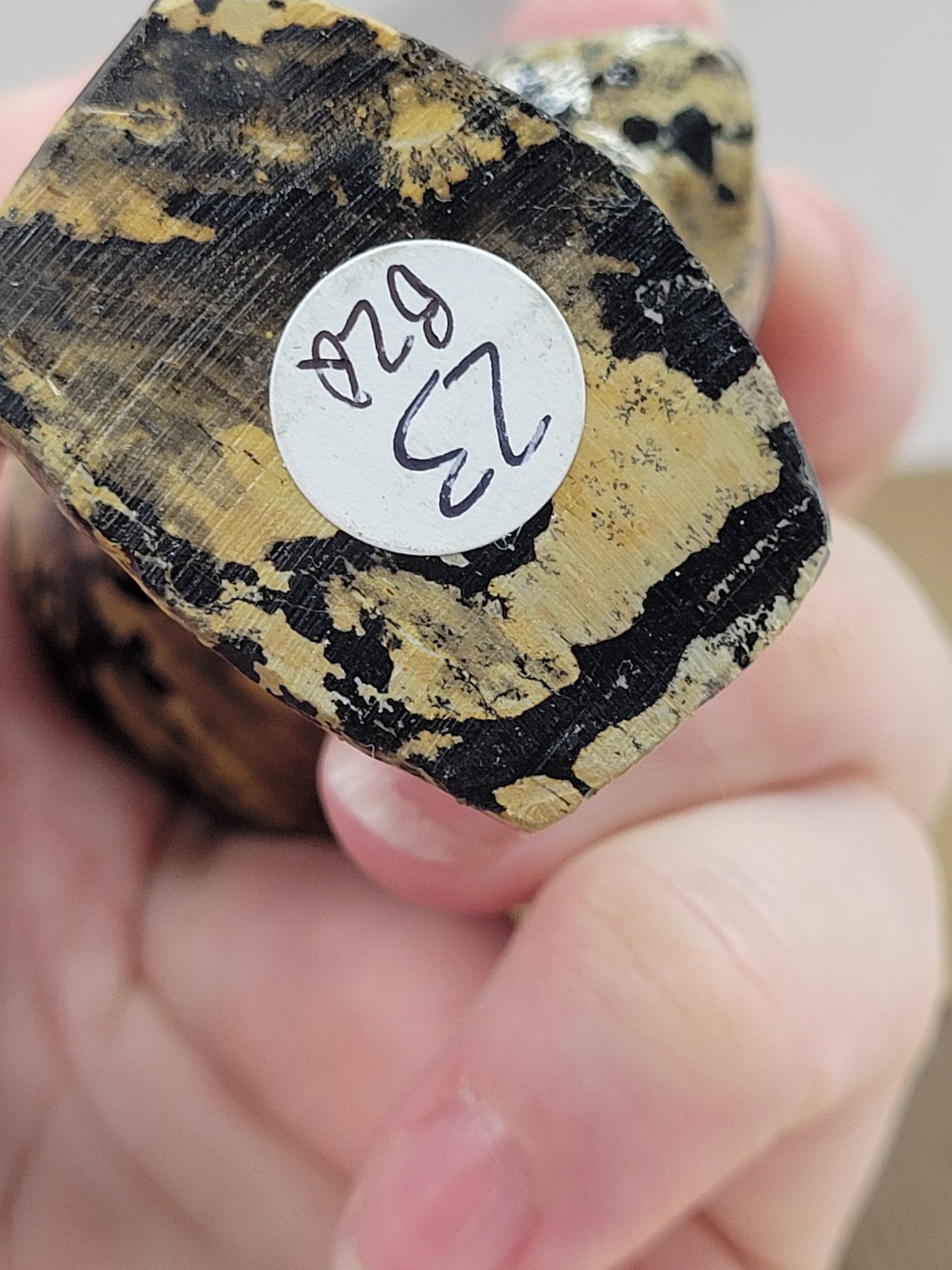 Queen Nefertiti carving (Picture Jasper)