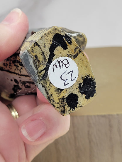 Queen Nefertiti carving (Picture Jasper)