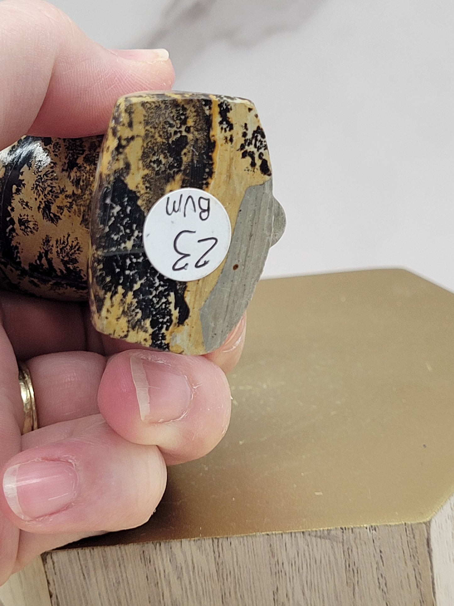 Queen Nefertiti carving (Picture Jasper)