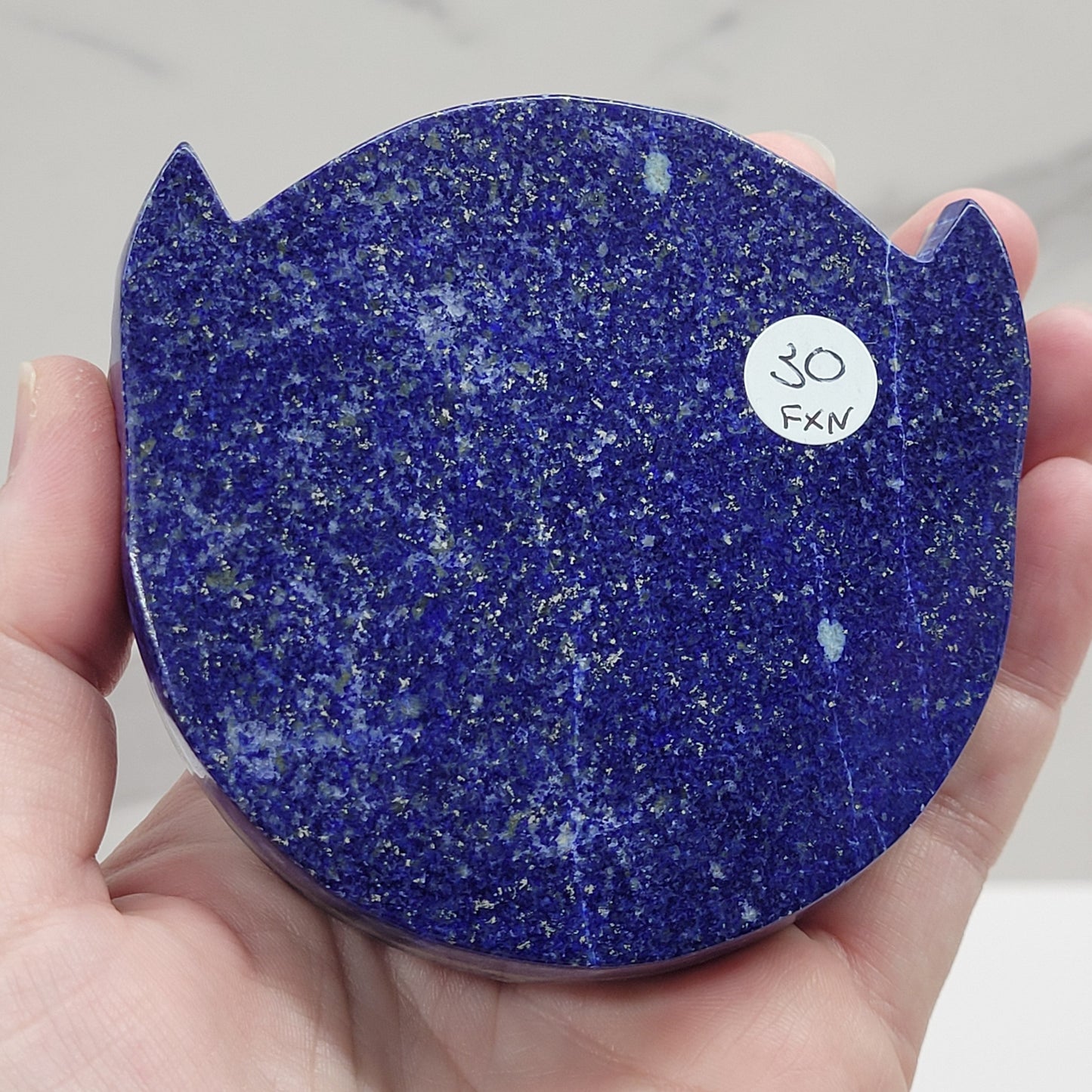 Scarab Beetle round plaque