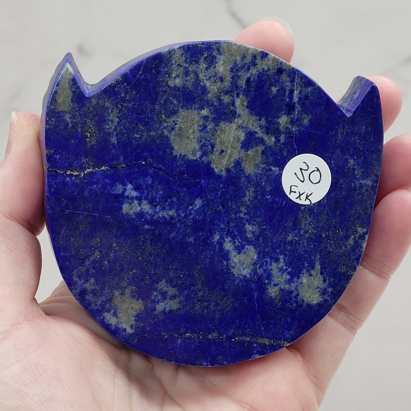 Scarab Beetle round plaque
