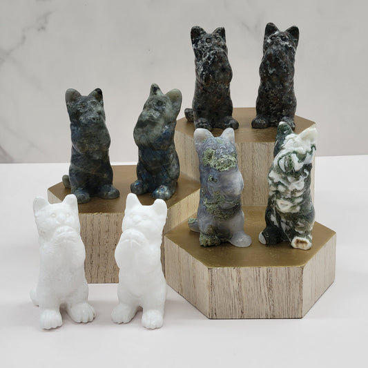 Cat/kitty carving - begging (large)