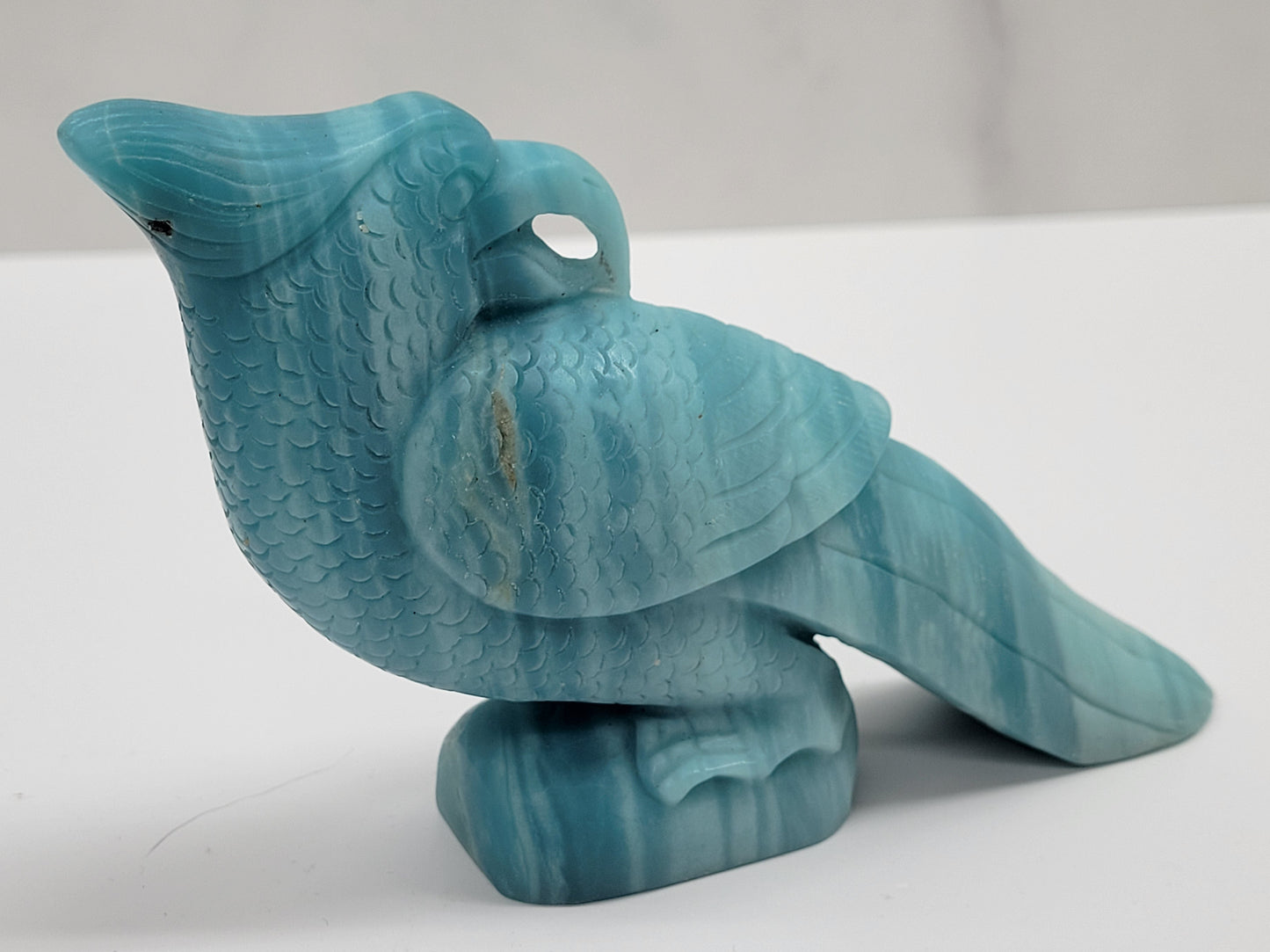 Caribbean Calcite bird