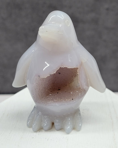 Drusy Agate penguin carving