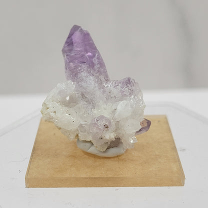 Vera Cruz Amethyst