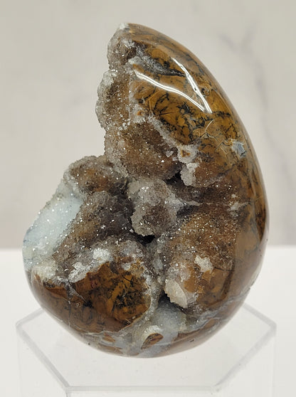Brecciated Jasper free form