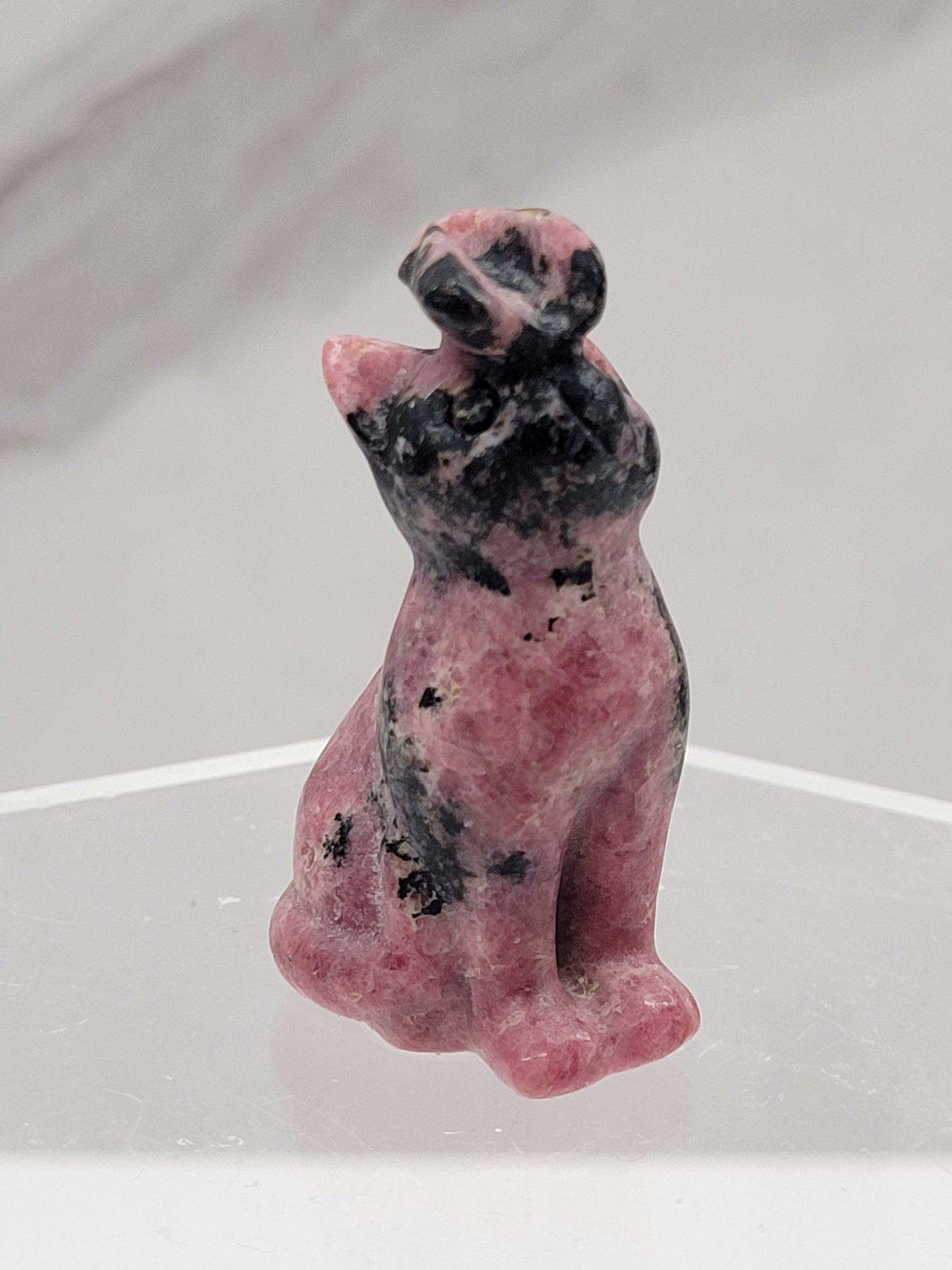 Cat/kitty carving - butterfly on nose (S)