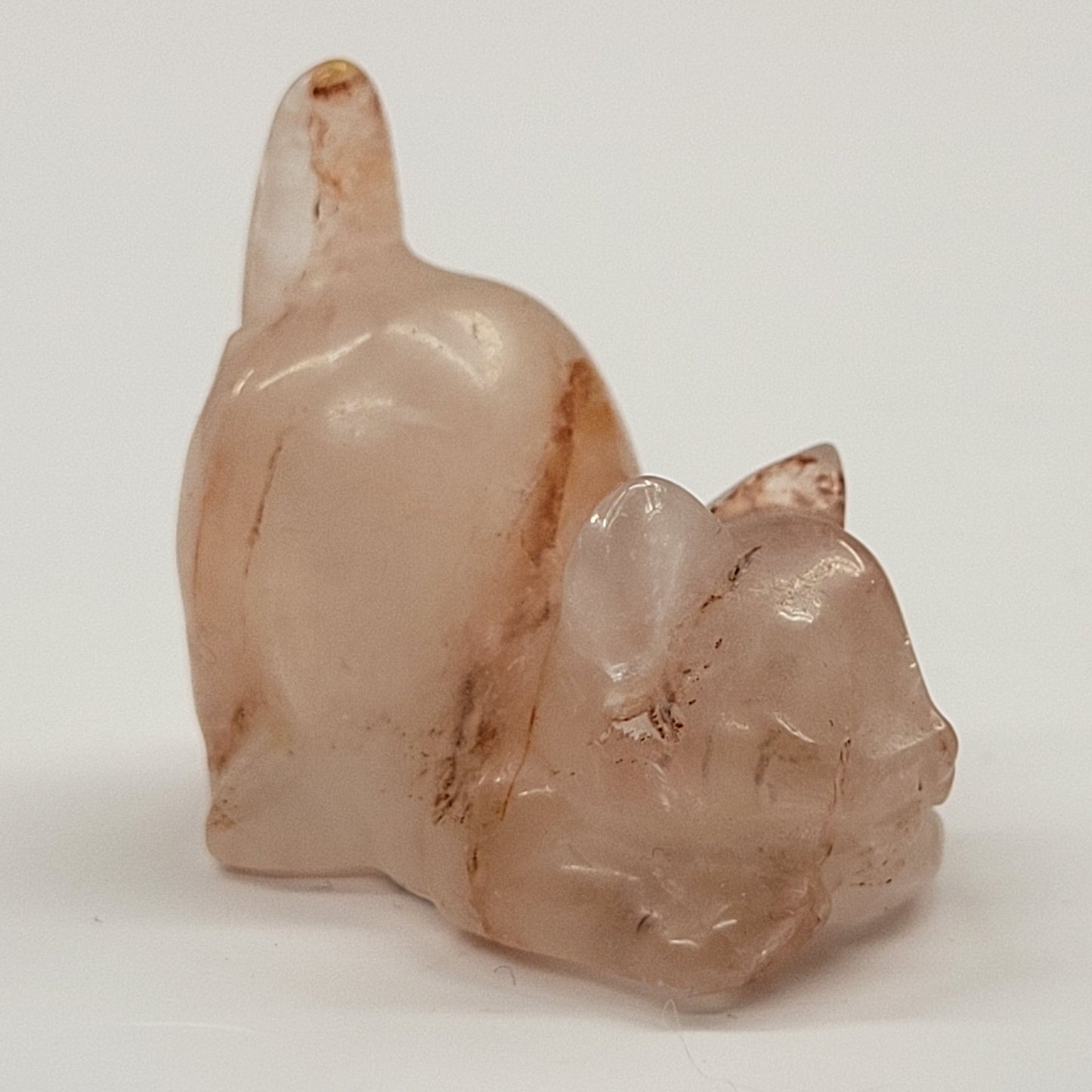 Cat/kitty carving - playful (S)