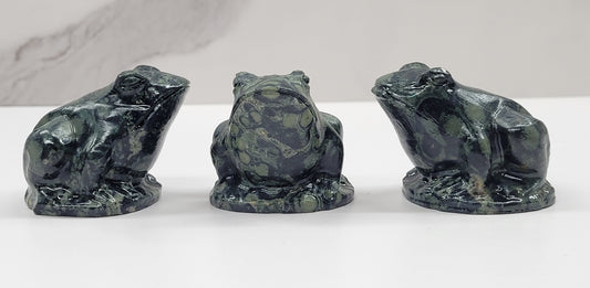 Frog (L) - Kambaba
