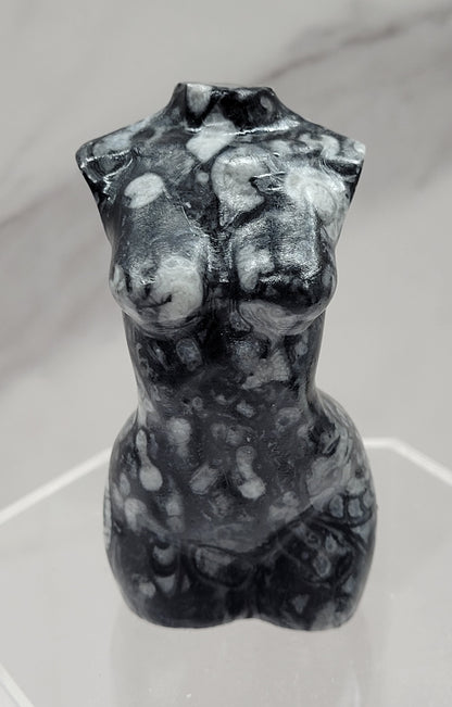Goddess body - Fossil Shell Jasper (L)