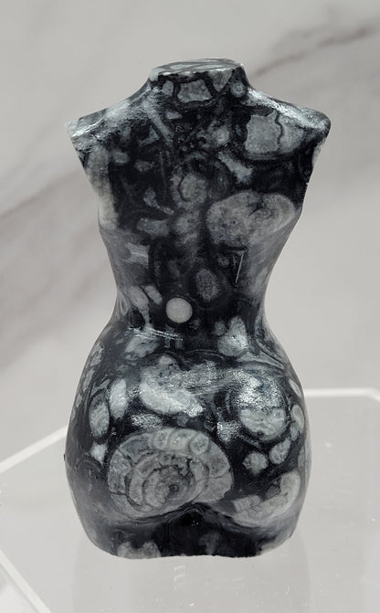 Goddess body - Fossil Shell Jasper (L)