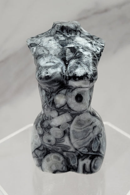Goddess body - Fossil Shell Jasper (L)