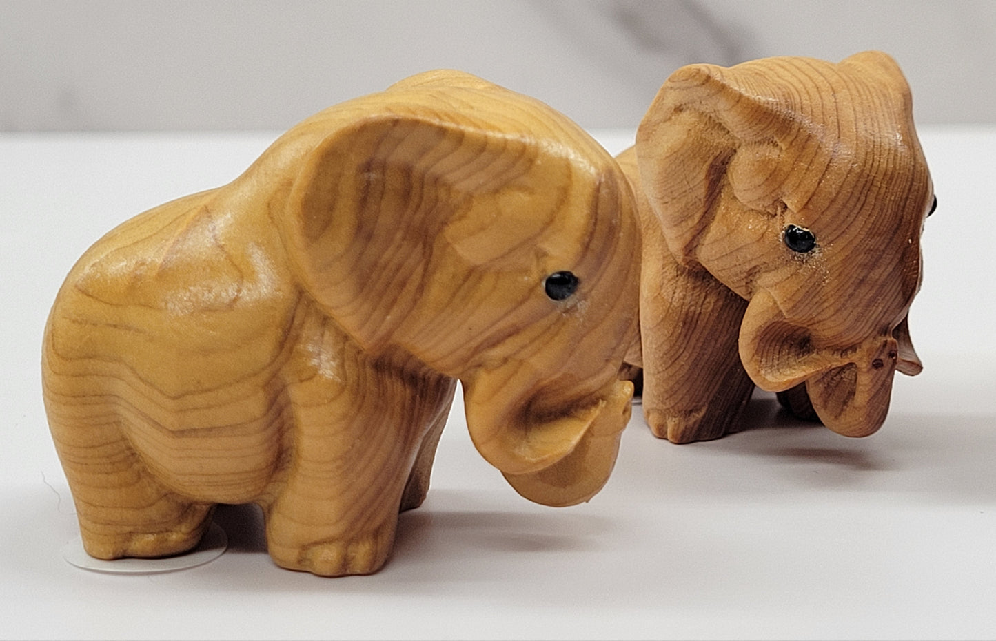 Arborvitae wood elephant