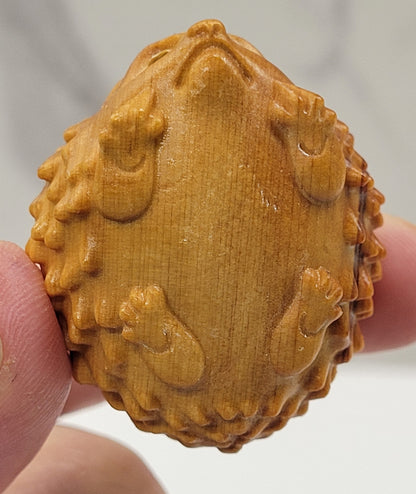 Arborvitae wood hedgehog