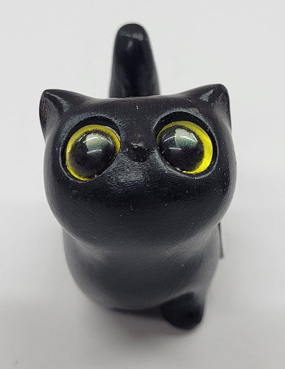 Sandalwood cat