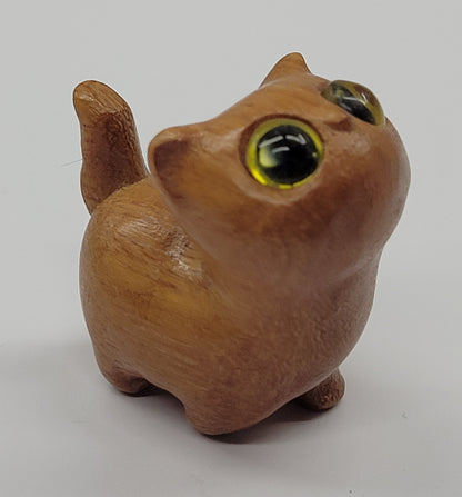 Sandalwood cat