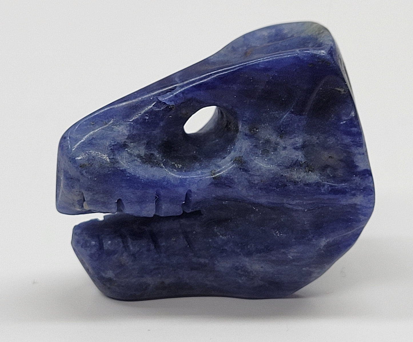 T-Rex skull carvings (S, M, L)