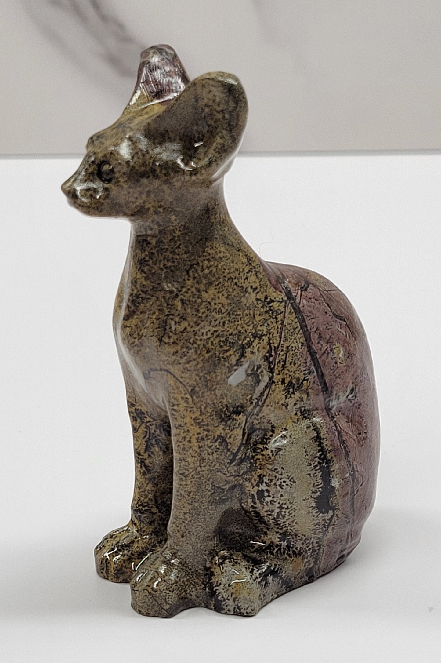 Egyptian cat (Sphinx cat) - Picture Jasper