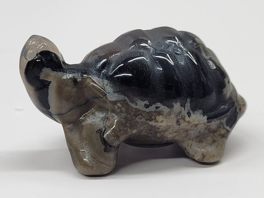 Turtle - Volcano Agate