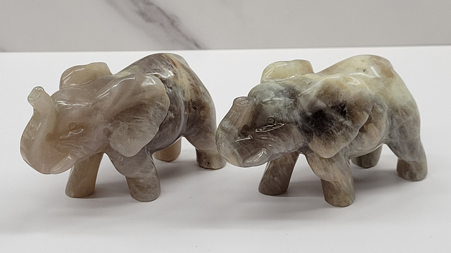 Elephant - Moonstone