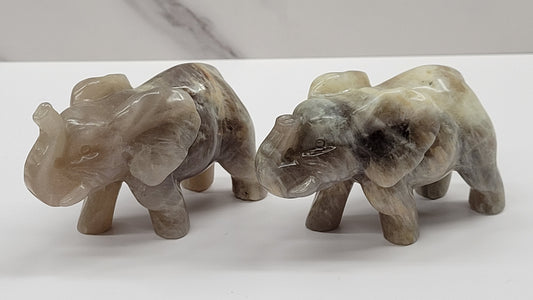 Elephant - Moonstone