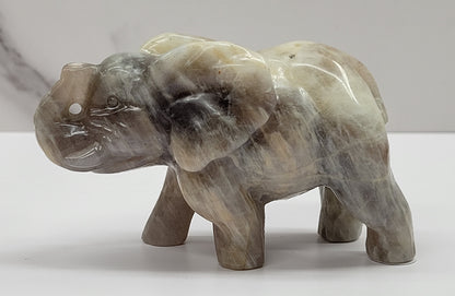 Elephant - Moonstone