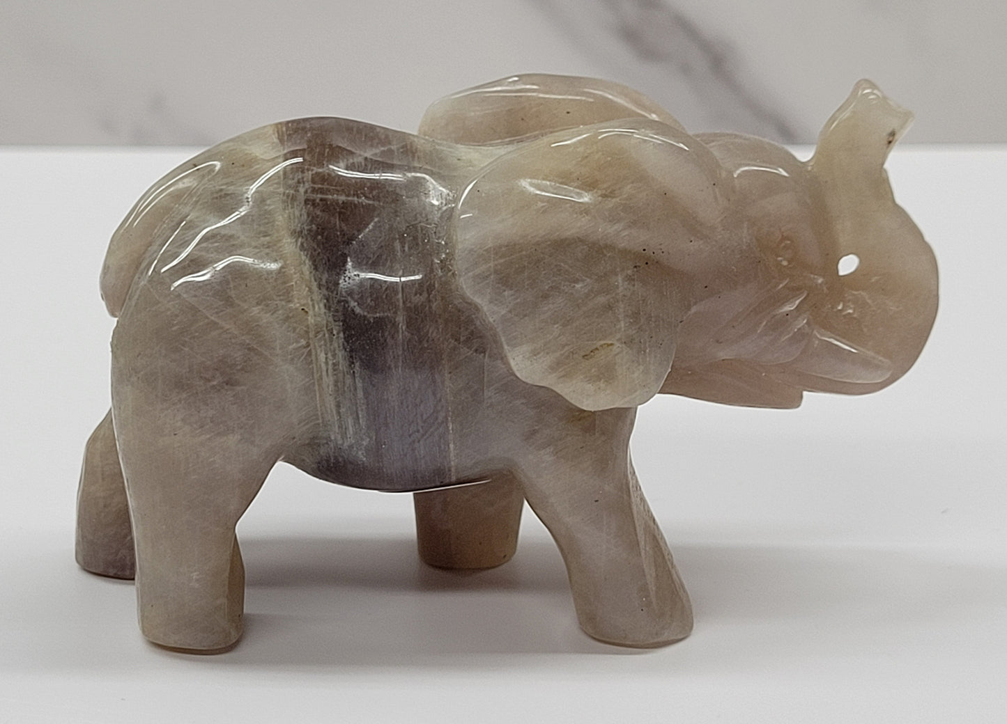 Elephant - Moonstone