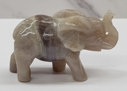 Elephant - Moonstone