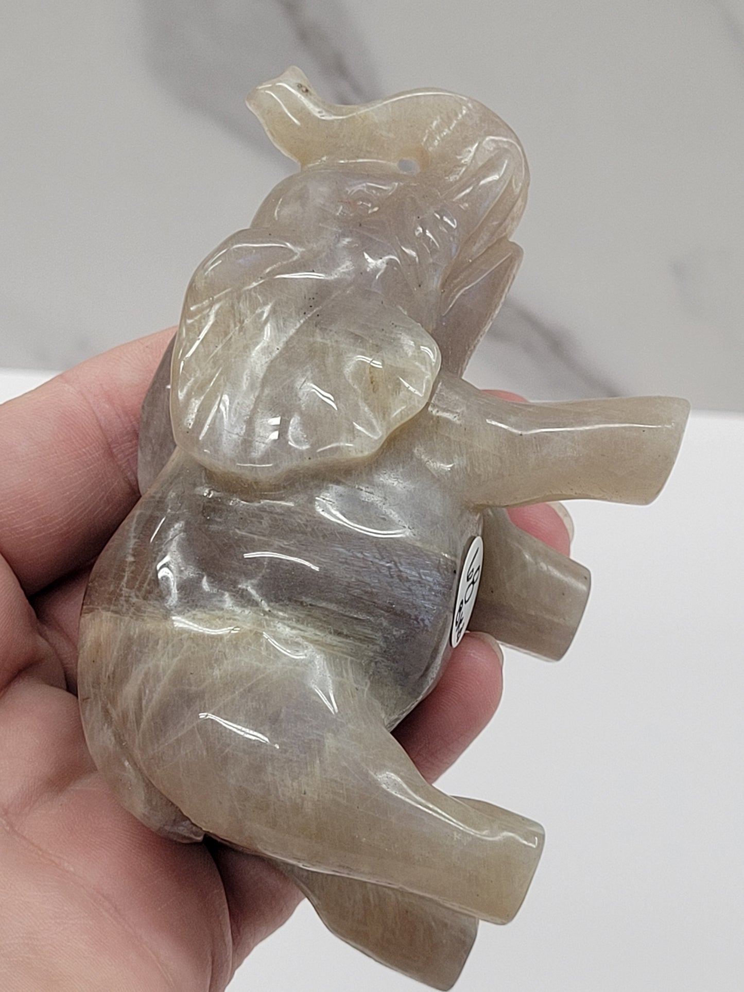 Elephant - Moonstone