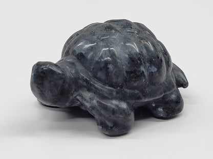 Turtle/Tortoise - Larvakite (M)